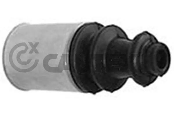 030104 Cautex