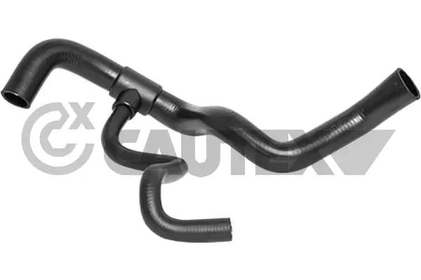 026038 Cautex
