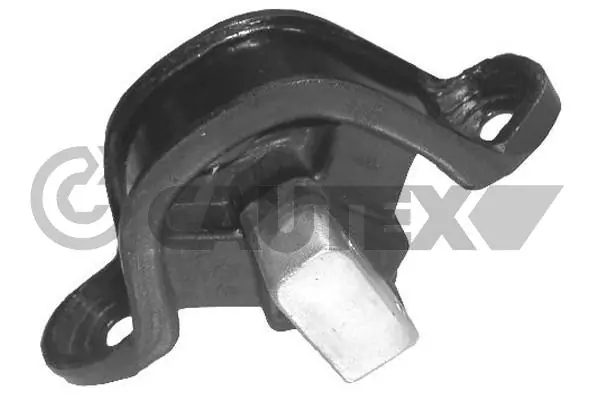 480474 Cautex