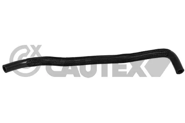 026486 Cautex