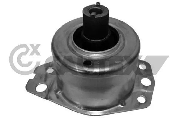 756099 Cautex