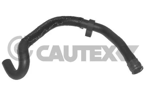 036773 Cautex
