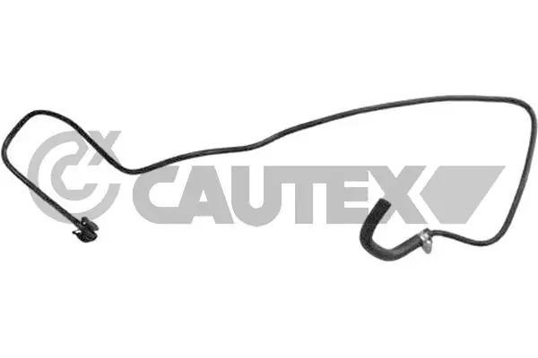 757701 Cautex