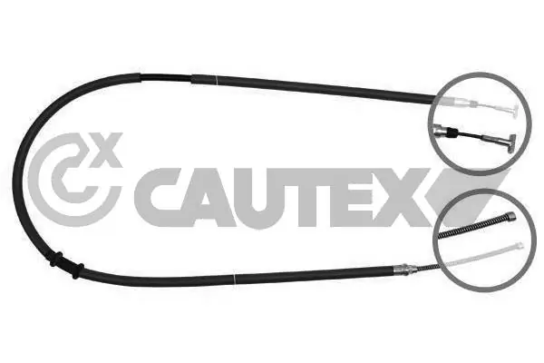019039 Cautex