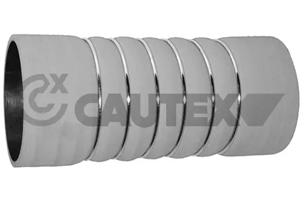 767128 Cautex