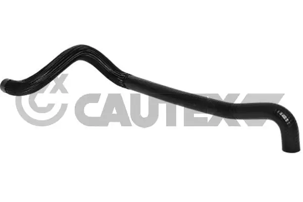 752816 Cautex