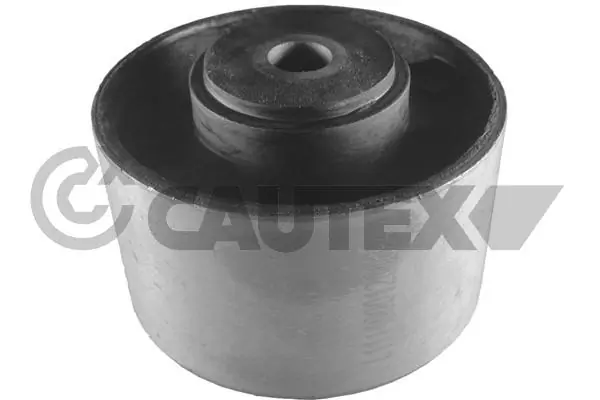 030212 Cautex