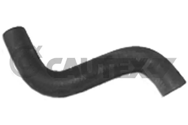 186031 Cautex