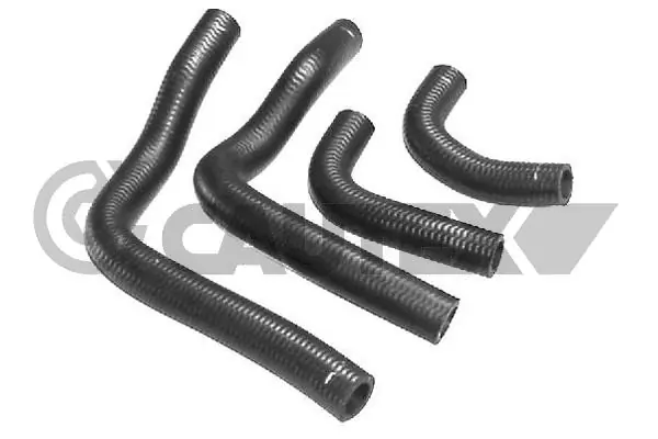 016095 Cautex