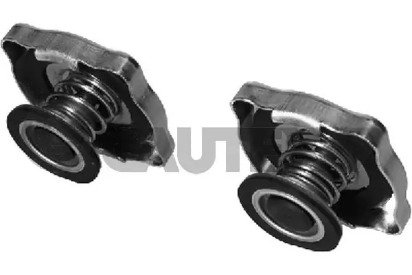 Tampa (tampão) do radiador Nissan/Infiniti 2143089906
