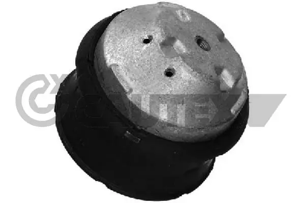 755971 Cautex