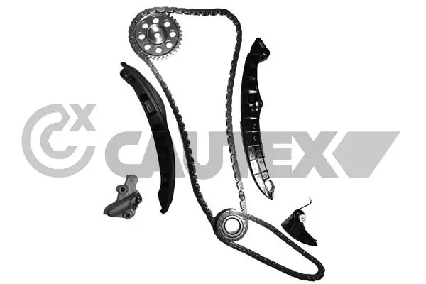462614 Cautex