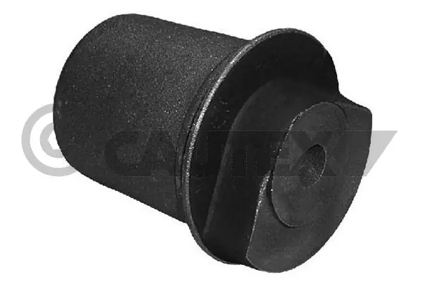 480545 Cautex