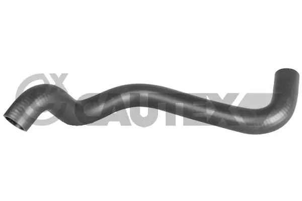 486025 Cautex