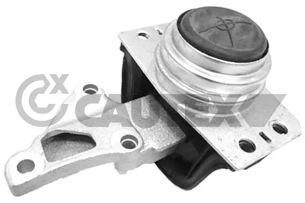 031507 Cautex