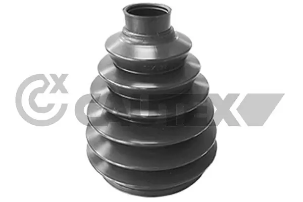462581 Cautex