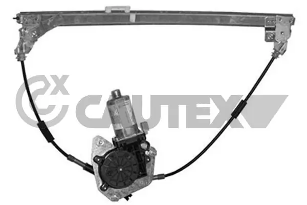 037093 Cautex