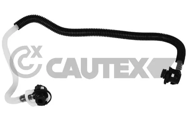 757422 Cautex