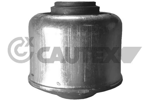 020794 Cautex
