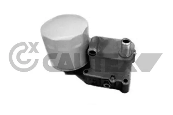 770228 Cautex