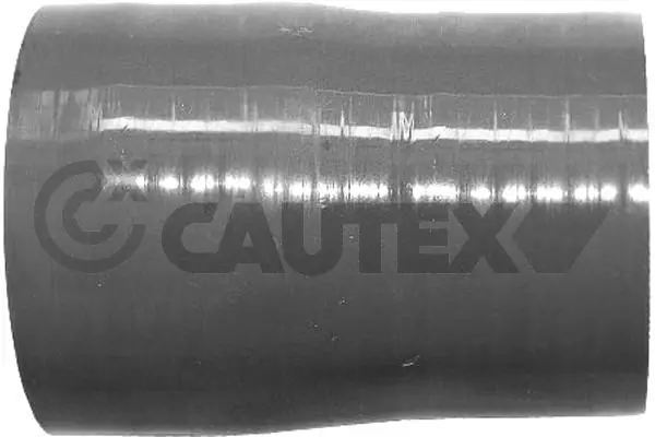 767002 Cautex
