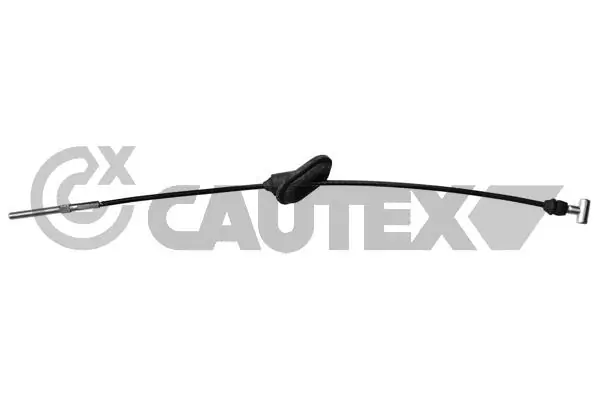 708118 Cautex