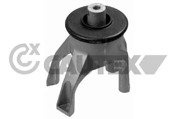 462545 Cautex