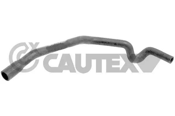 767032 Cautex
