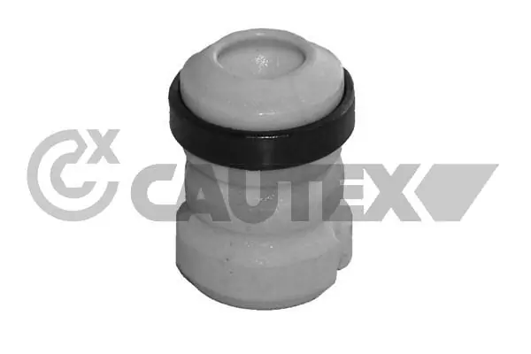 031153 Cautex