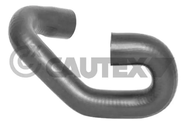 481102 Cautex