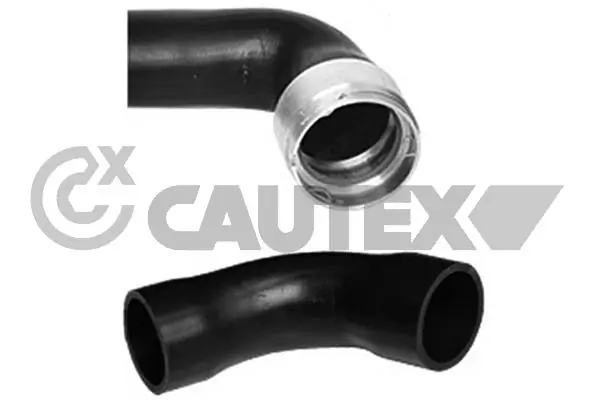 753088 Cautex