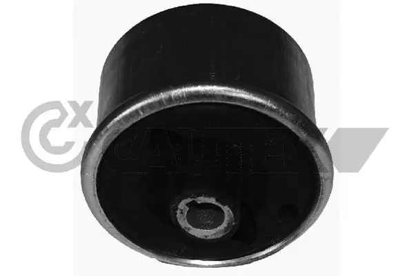 081036 Cautex