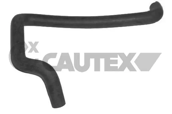 036353 Cautex