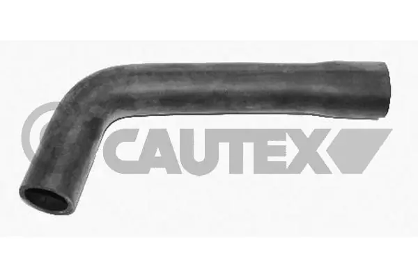 066578 Cautex