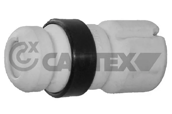 031407 Cautex