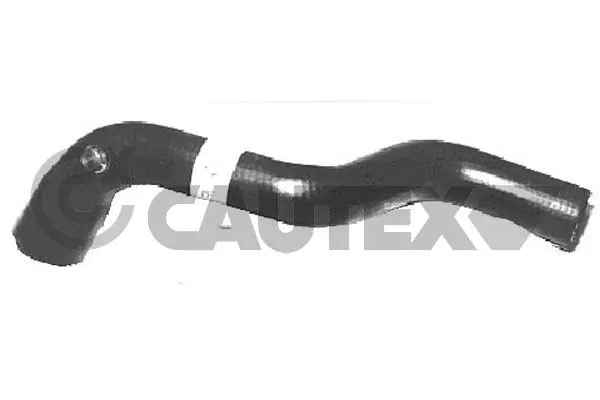 026462 Cautex