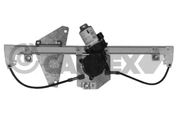 037545 Cautex