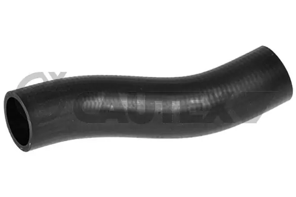 754203 Cautex