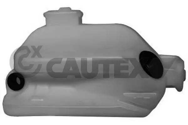 Kangoo II сaixa (2008-2021) original desde 54,30 €