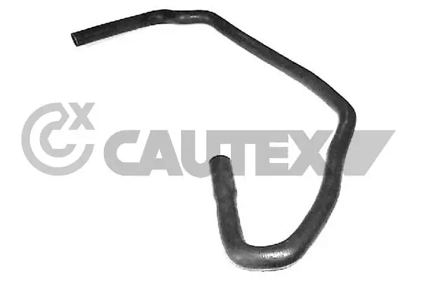 036482 Cautex