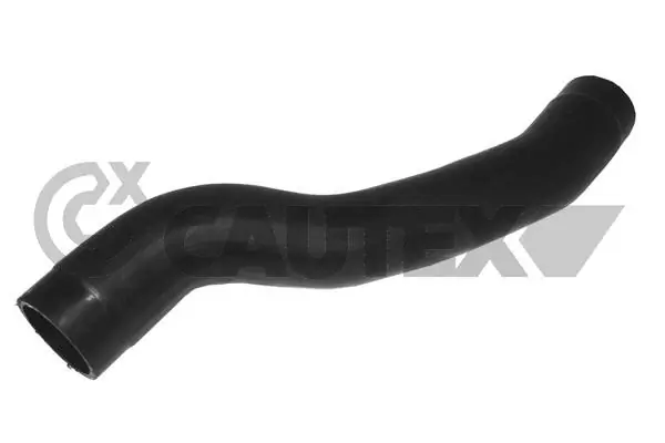 086788 Cautex
