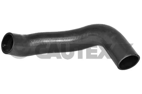 754522 Cautex