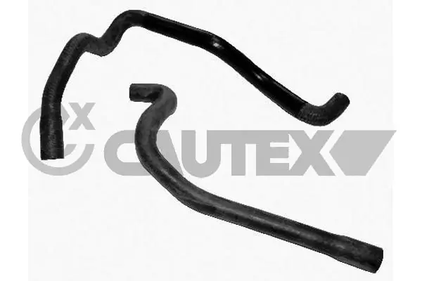 751902 Cautex