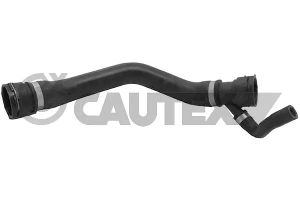 754110 Cautex