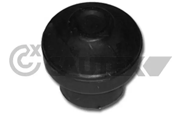 460161 Cautex
