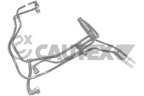 036802 Cautex