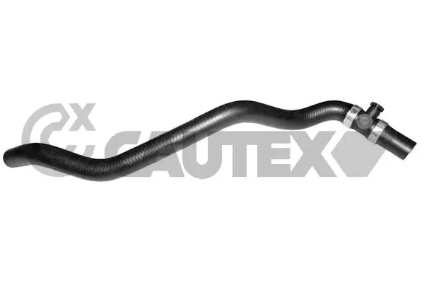 752771 Cautex