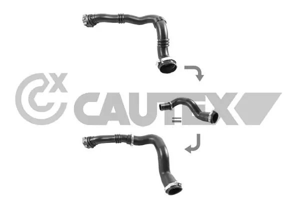764891 Cautex