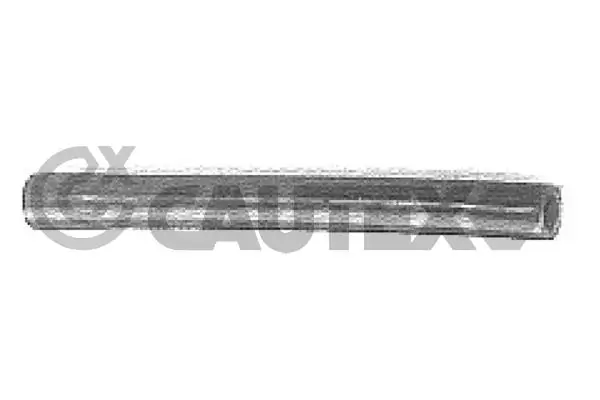 015016 Cautex