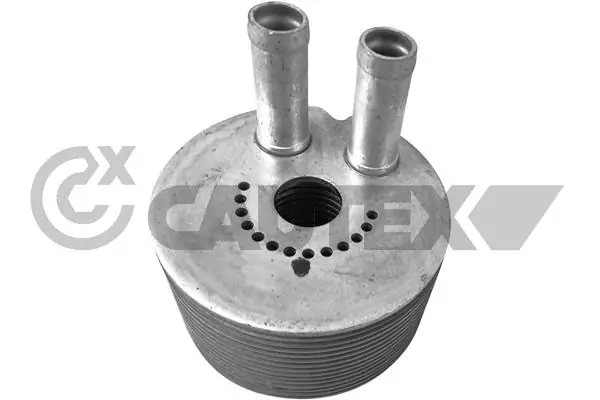751831 Cautex